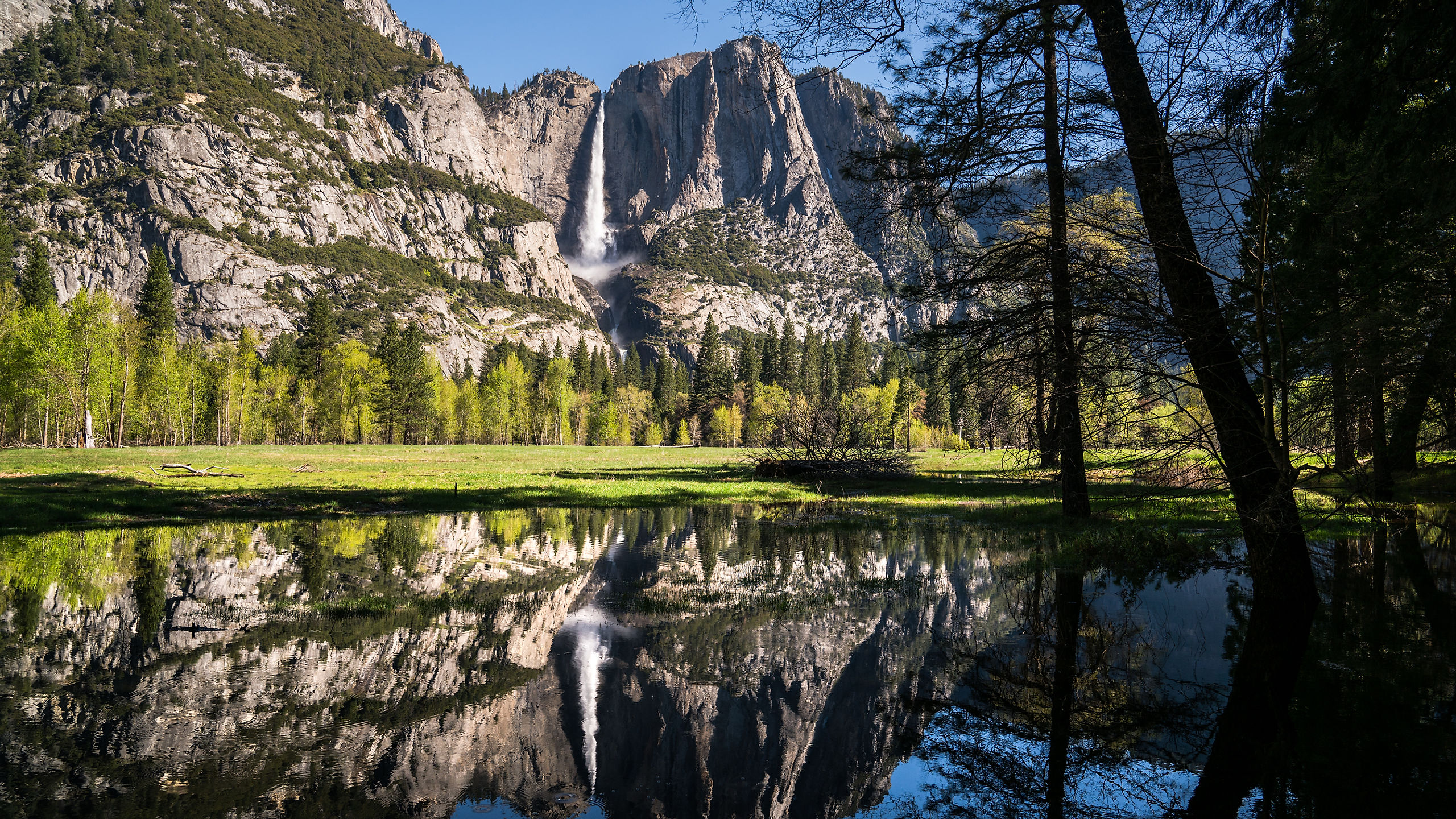 Yosemite Back to the Wild Summer 2020